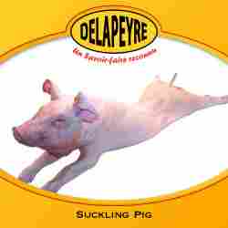 Suckling Pig RAW Fresh